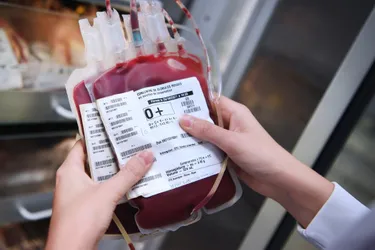Une collecte de sang plutôt moyenne