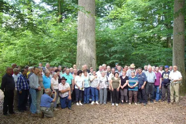 Des visites de scieries et de forêts au programme du GSMT