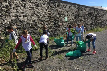 Eco-école : Notre-Dame se fédère autour de l'environnement