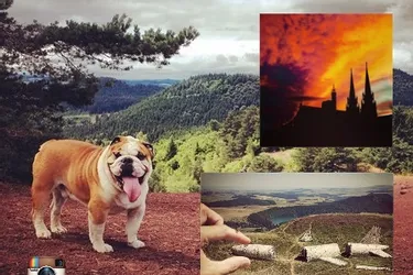 L'Auvergne se met aux couleurs de l'été sur Instagram