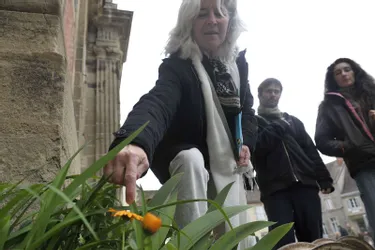 Marie Aline Queffurus conduit une promenade botanique encore aujourd’hui à Souvigny