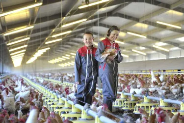 Nicole, la maman, et Jean-Yves, son fils, diversifient leur GAEC dans la production d’œufs