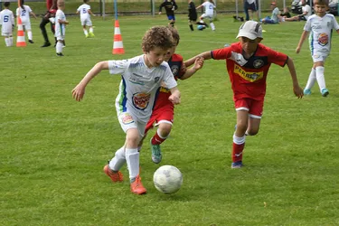L'Étoile Moulins-Yzeure va réunir plus de 700 jeunes footballeurs