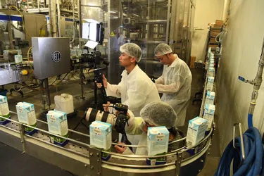 Pourquoi le lait d'Auvergne est un produit haut de gamme en Chine