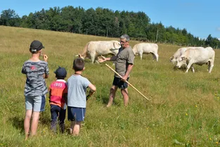 Vacances à la ferme : activités ludiques et éducatives dans le Puy-de-Dôme