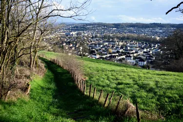 La ville de Brive (Corrèze) est mûre pour la végétalisation (et les candidats l'ont bien compris)