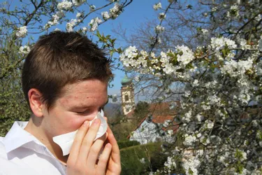 Risque allergique élevé à Clermont ce week-end