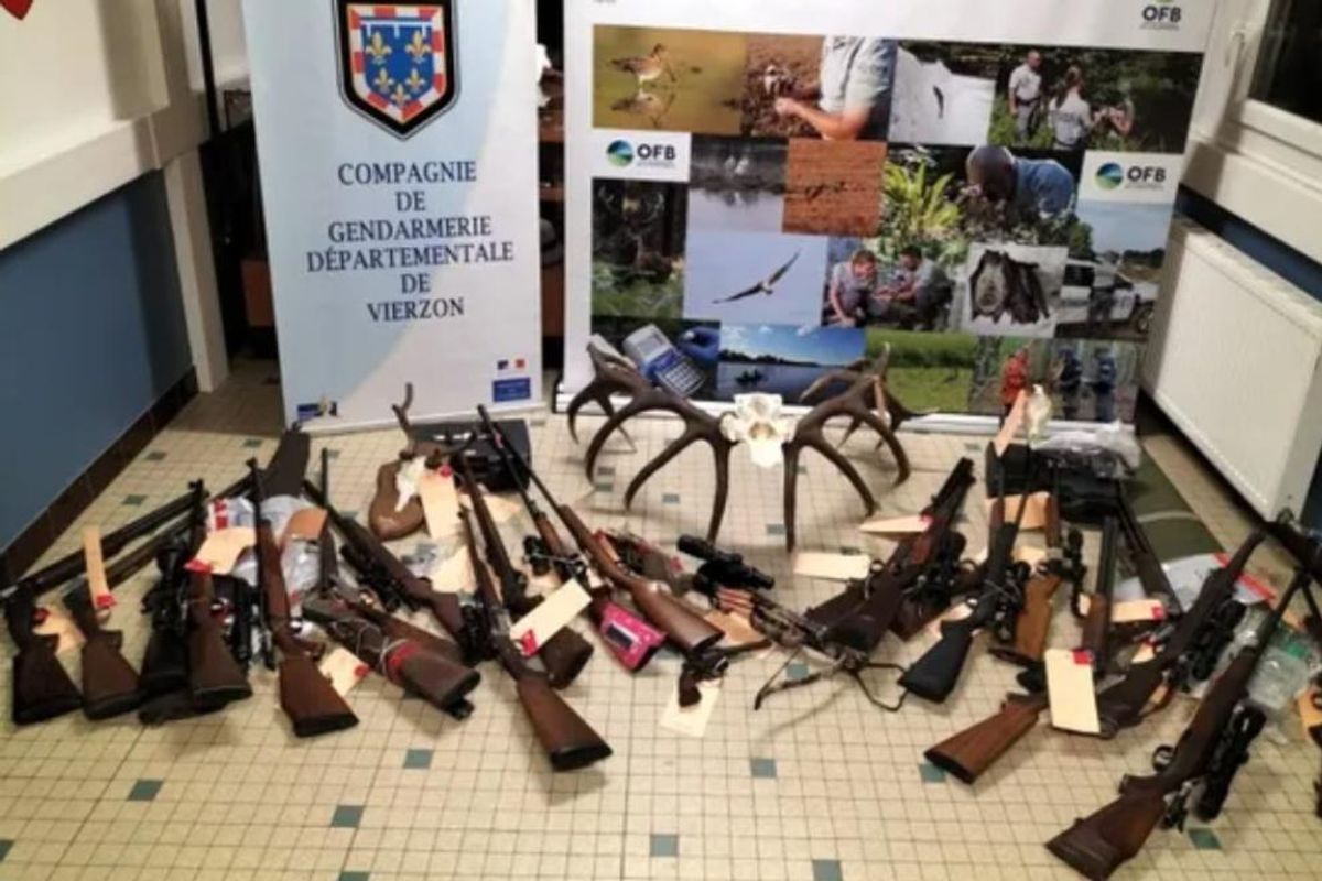 "Ils pensaient pouvoir agir impunément" : six chasseurs, soupçonnés de braconnage en Sologne, attendus devant la justice ce mercredi