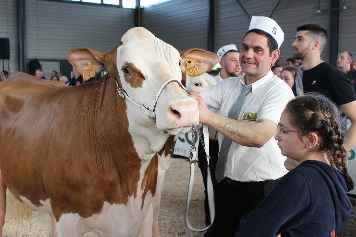 Un grand concours agricole se déroule ce dimanche à Saint-Paulien