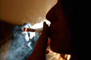 Amende forfaitaire sur le cannabis : "Les nombreux bobos fumeurs de joints craindront d'être verbalisés"