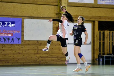 Handball. Les poules des championnats nationaux dévoilées