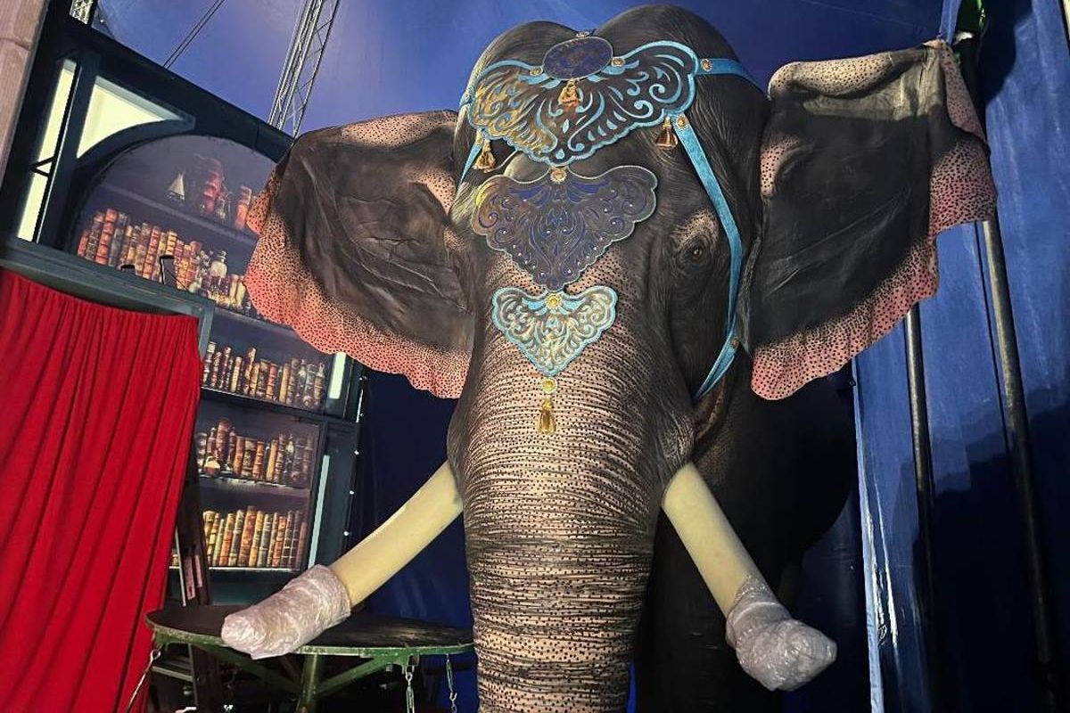 Cirque, festival Musicolor, Oktobaulefest… Cinq idées sorties pour le week-end des 8 et 9 novembre dans le Loiret