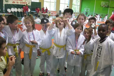 Judo : belles performances à la Comté
