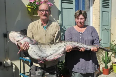 Un poisson d’1,55 m et 28 kg pêché dans le Cher