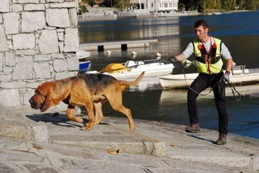 « Mantrailing », des chiens à la recherche de personnes disparues