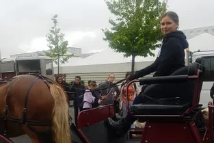 Les jeunes de la Fontaine-du-Bac à Clermont-Ferrand ont appris à mener un cheval