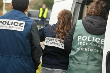 N CROLOGIE DITION FORBACH visual data 2