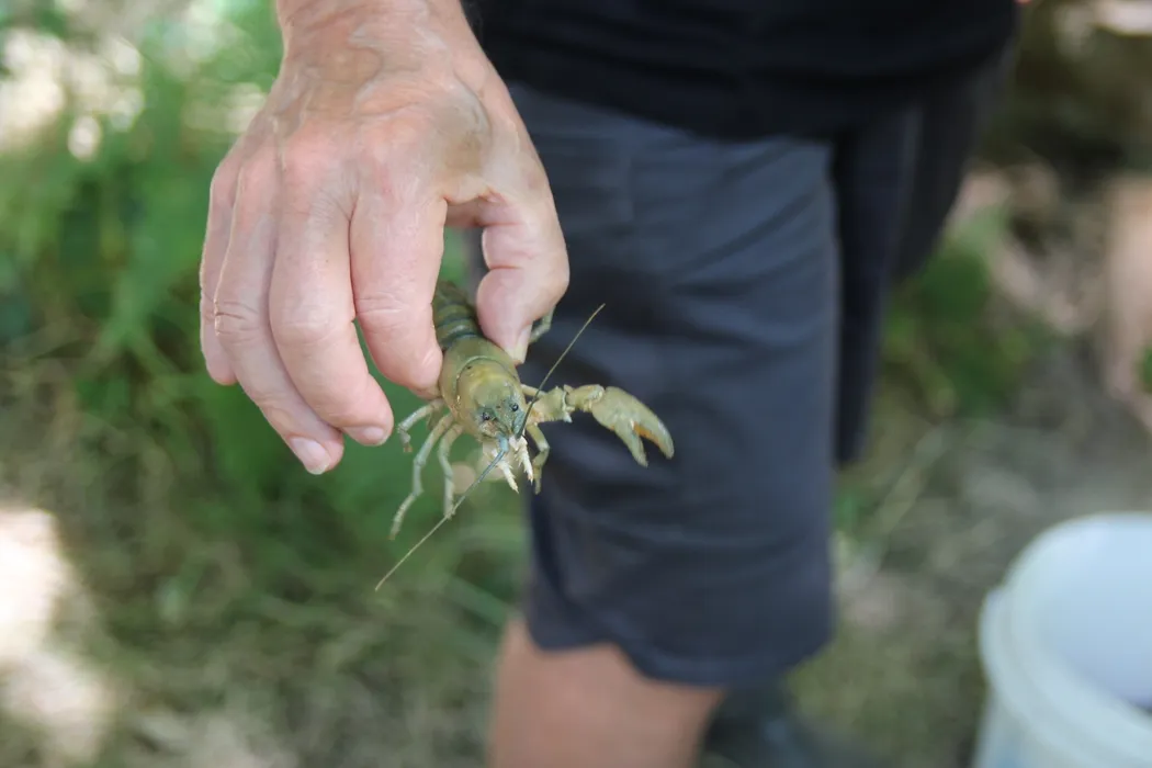 Nos cinq idées de sortie pour ce mardi 22 juillet dans le Cantal - La ...