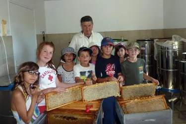 Les enfants ont percé le mystère du miel