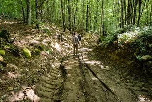 Un sentier de trail des Monts de Guéret totalement défiguré par un chantier forestier à Peyrabout et Saint-Yrieix-les-Bois (Creuse)