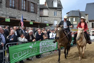 Le grand rendez-vous du comice agricole d’arrondissement a mis le cheval à l’honneur