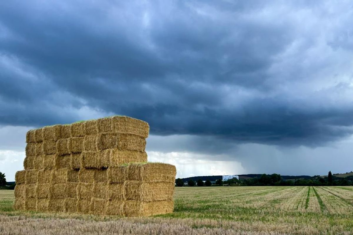 Pronóstico del tiempo hoy: domingo caluroso con riesgo de tormentas