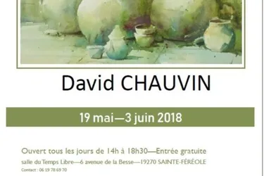 Exposition d'aquarelles : David Chauvin en invité d’honneur