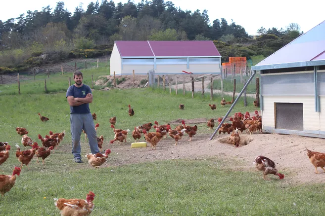 Au Poulailler élevage De Volailles En Plein Air