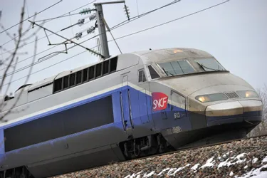Elections professionnelles à la SNCF: les rapports de force se stabilisent dans la région