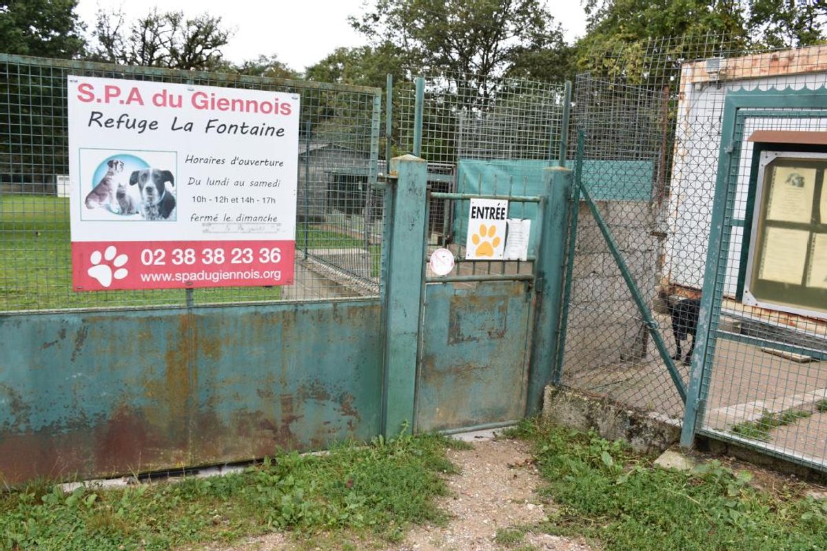 Deux salariées de la spa du giennois convoquées pour un entretien préalable à un licenciement
