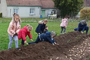Les enfants préparent le fleurissement