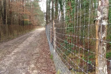 Engrillagement en Sologne : les clôtures vont reculer, la proposition de loi adoptée par les députés