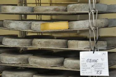 Le saint-nectaire, un fromage fabriqué à 90 % par des femmes