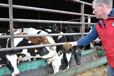 140 vaches prim’holstein sur 265 ha, à La Creuserie