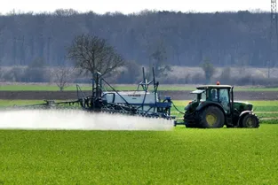 Distances minimales d'épandage : le recours des anti-pesticides rejeté par le Conseil d'Etat
