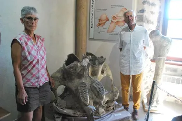 A Chilhac (Haute-Loire), le musée Christian-Guth propose un voyage deux millions d'années en arrière