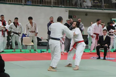 200 judokas sur les tatamis