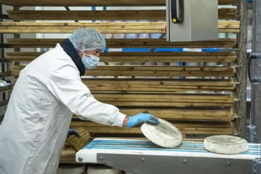 Lactalis inaugure sa nouvelle fromagerie qui produit 2.100 tonnes de saint-nectaire laitier AOP à Condat (Cantal)