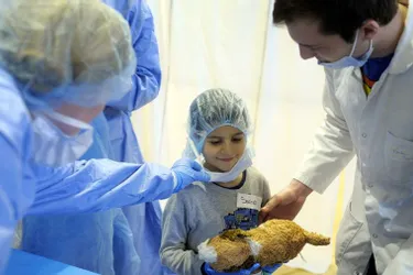 Opérer des Nounours pour dédramatiser l’hôpital et mieux soigner les enfants