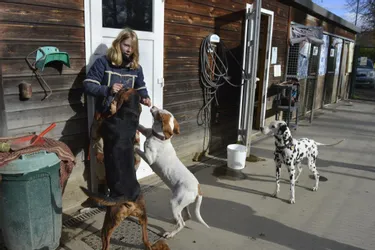 Le refuge Laassi, à Ambert (Puy-de-Dôme), reste mobilisé pour la cause animale, face aux abandons de chiens récurrents