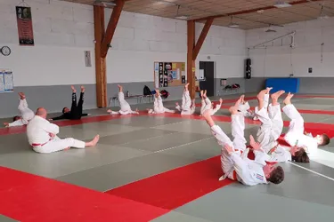 Judo et taïso à découvrir sur le tatami