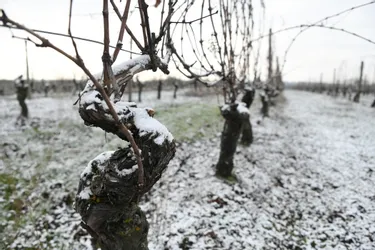 Les premières neiges tiennent, dans la campagne bourbonnaise autour de Moulins, avant les nouvelles chutes annoncées