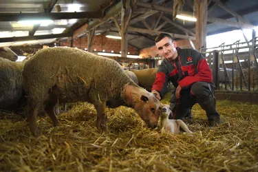 Un jeune éleveur de l'Allier en lice pour le titre de meilleur berger de France au Salon de l’Agriculture