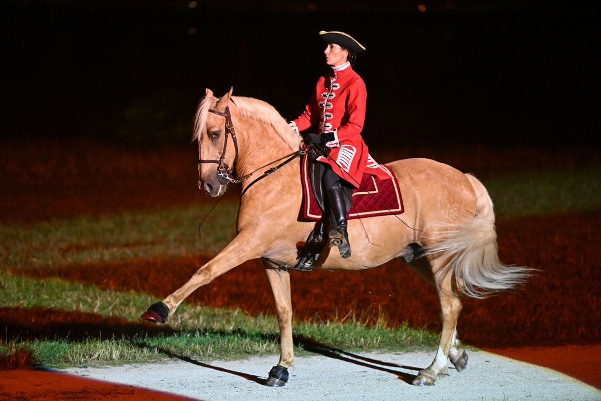 Les Chevaux Coulent Dans Nos Veines Entretien Avec milie Guyot les-chevaux-coulent-dans-nos-veines-entretien-avec-milie-guyot