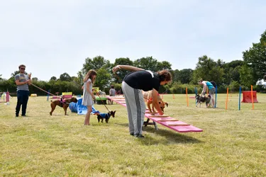 Un parc de loisirs pour chiens vient d'ouvrir à Courçais, une première dans l'Allier
