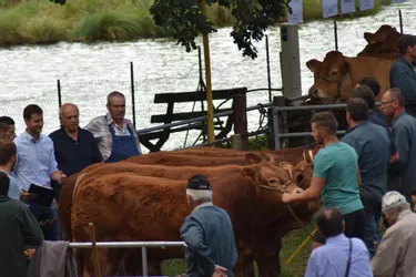Le comice agricole cantonal a permis de réunir élevages, agriculteurs et un public venu nombreux