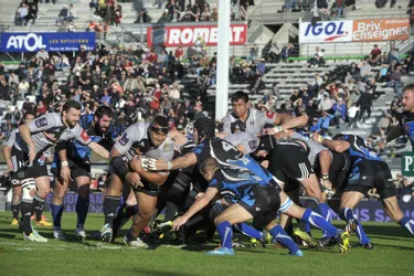 Rugby/Top 14 : victoire logique de Castres face à Brive (23-8) [Revivez le direct]