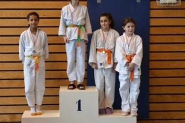 Petits et grands judokas sur les tatamis