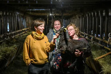 L'agriculture paysanne, une histoire de famille que ces trois sœurs cultivent dans le Cher