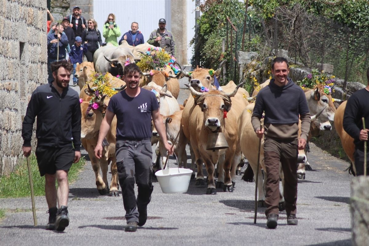 Fête de la transhumance à Grèzes : animations, repas et bal pour ...
